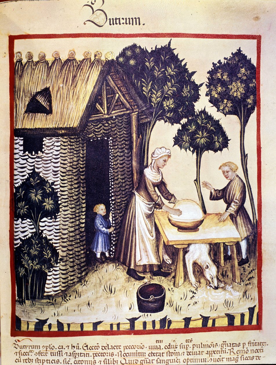 Manufacture of butter. Illumination from the Tacuinum sanitatis by Unknown artist