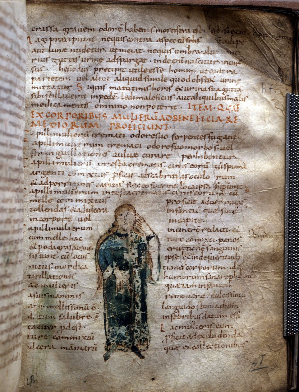 Manuscript page extracted from De simplicibus medicamentis by Claude Galien (Klaudios Galenos or Claudio Galeno or Claudius Galenus or Galen, c. 131 - c. 201), Greek doctor. Governativa of Lucca by Unknown artist