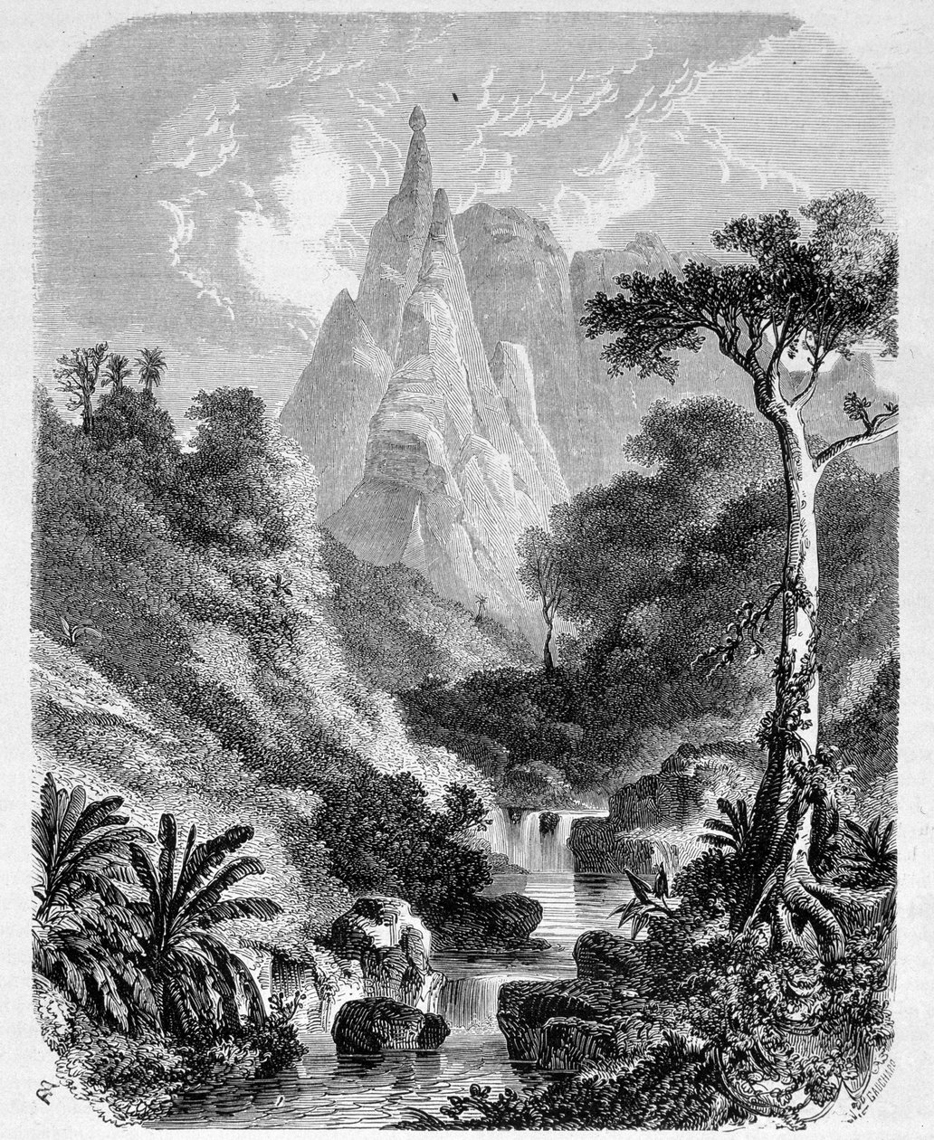 Mauritius: the Peter-Booth - in 