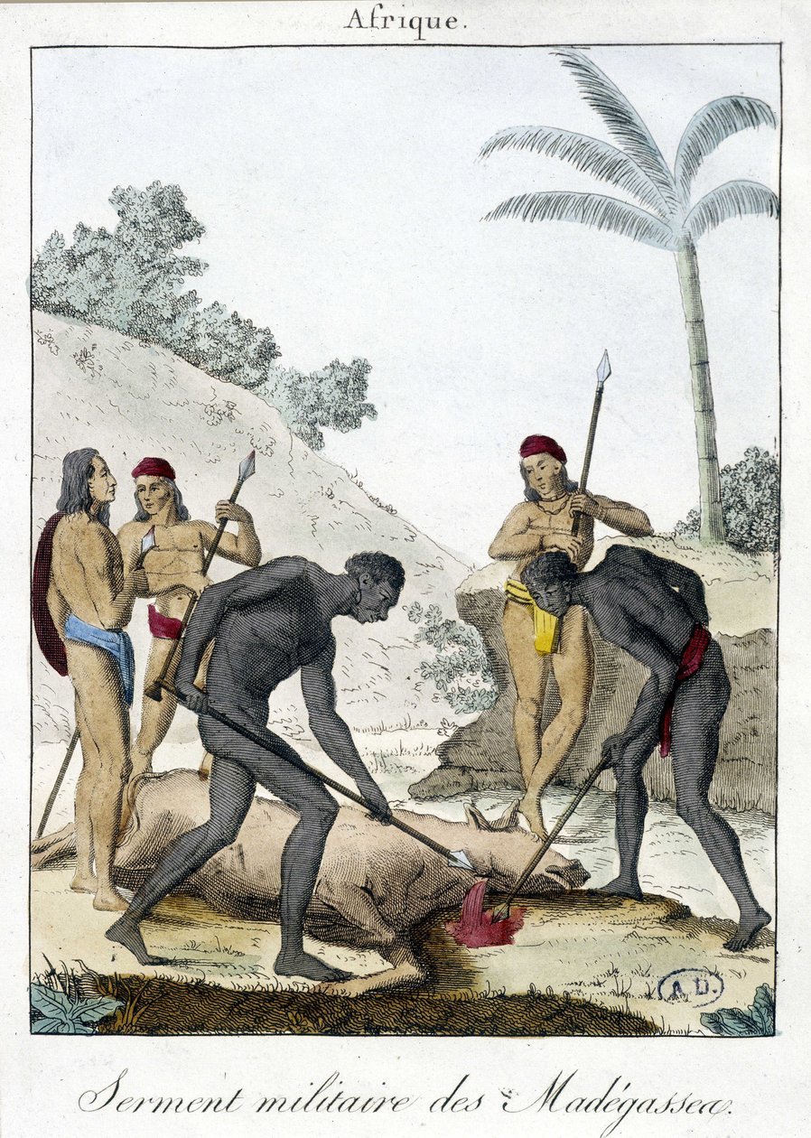 Military oath of the inhabitants of Madagascar (slaughtered an ox) - engraving, 1811 by Unknown artist