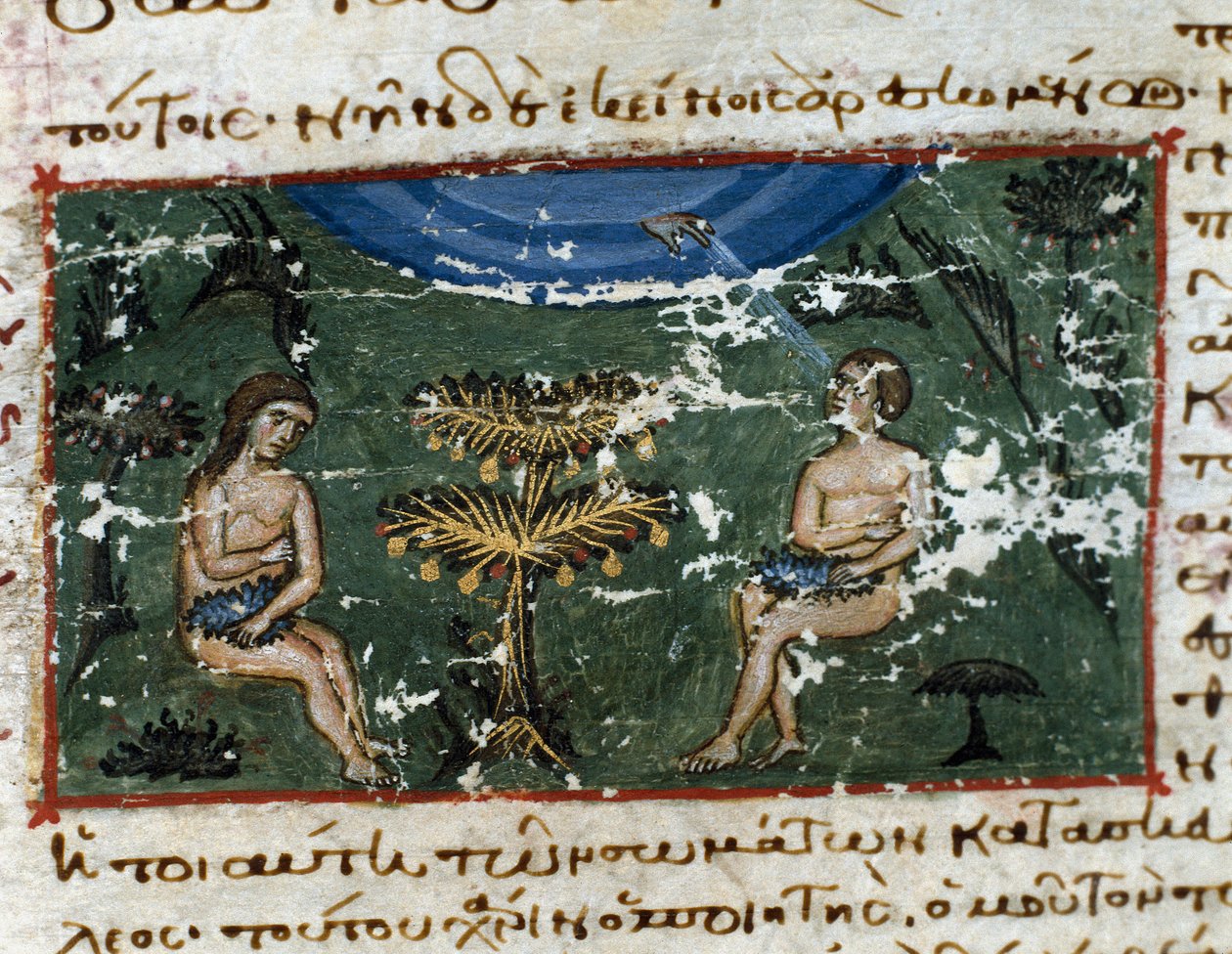 Original fishing from Codex de l