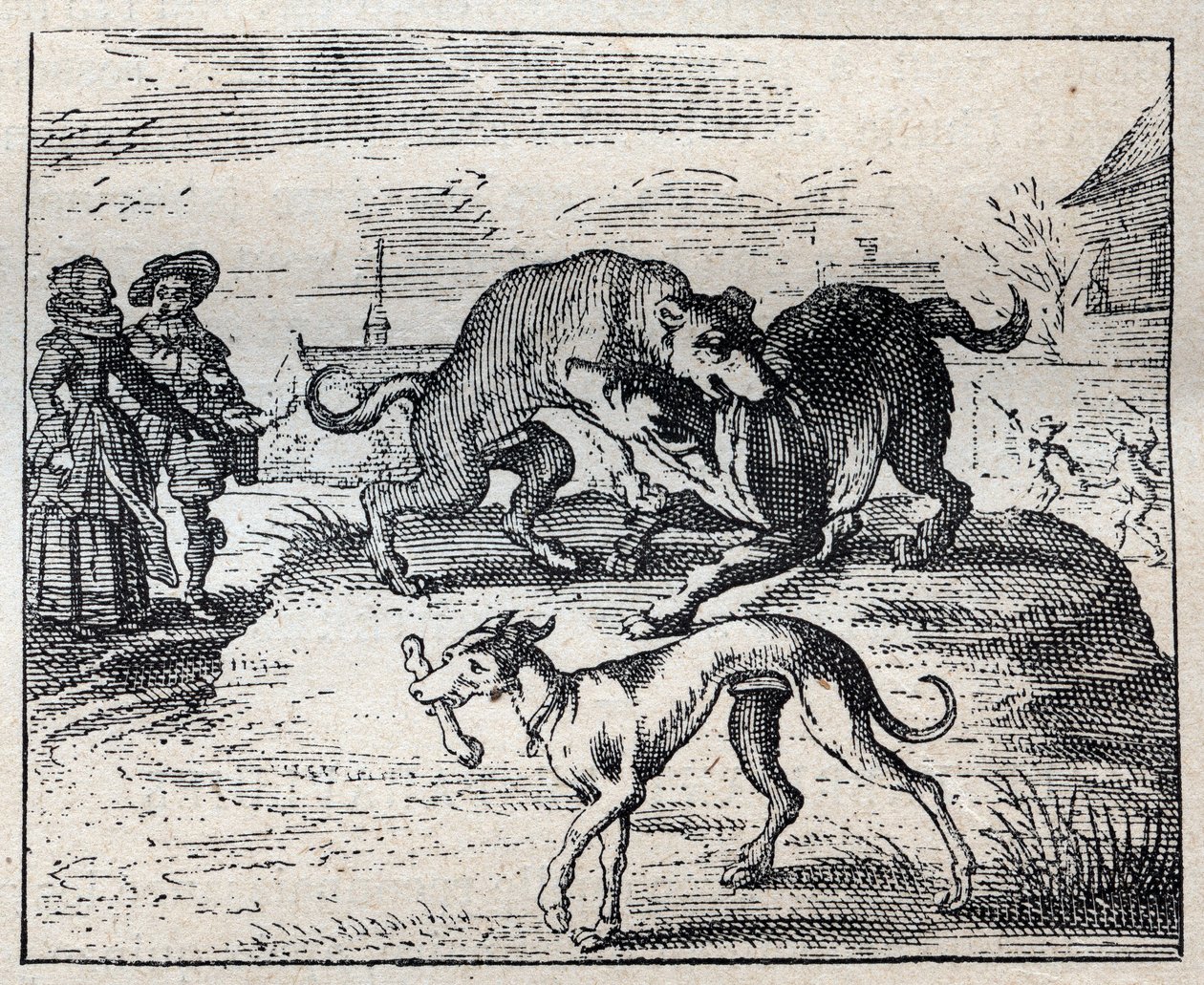 Old English Proverb: Two Dogs Strive for a Bone and the Third Takes It Away by Unknown artist