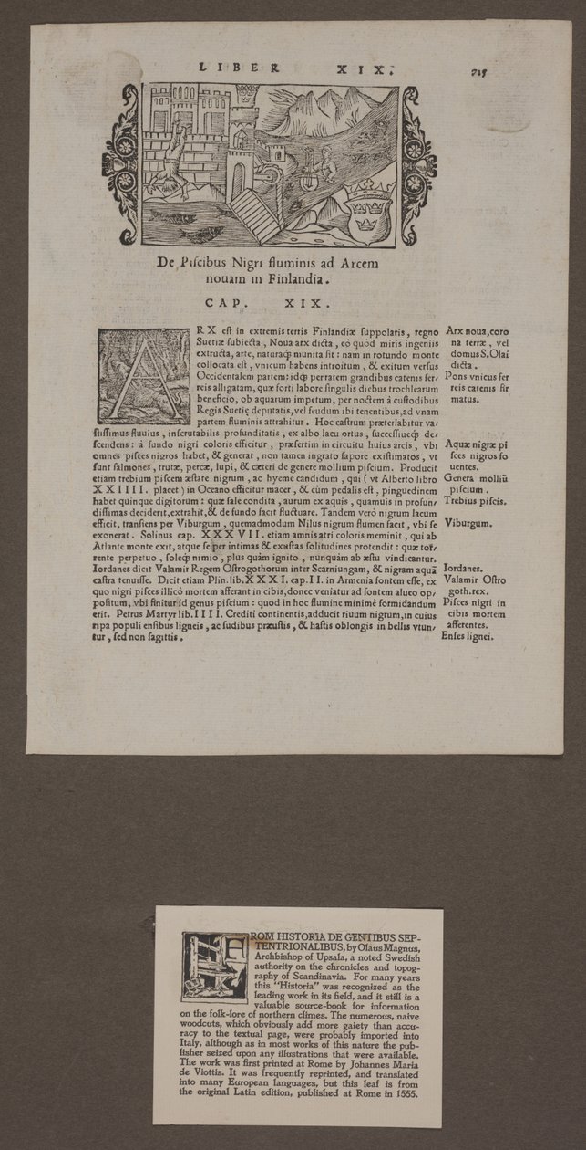 Page from 