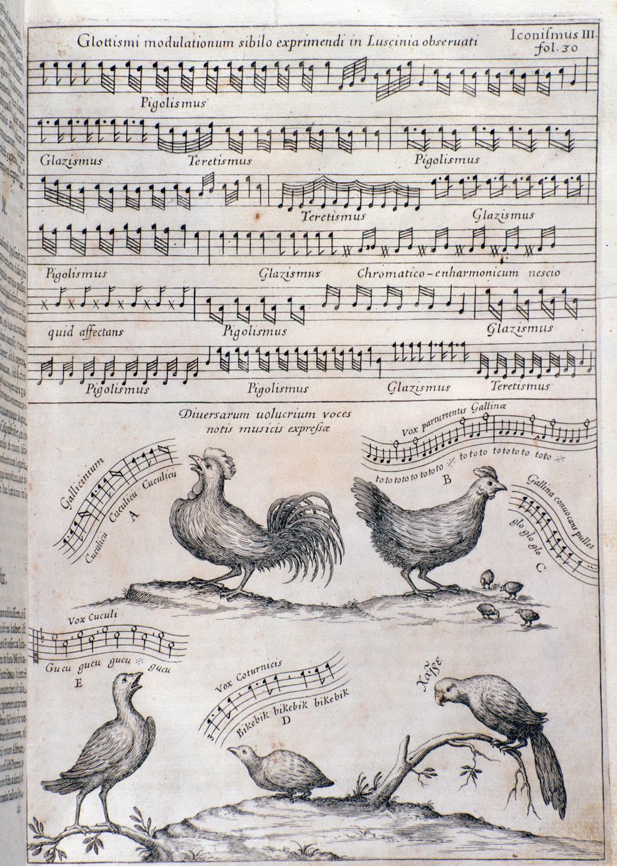 Page from Musurgia (1650) by Unknown artist