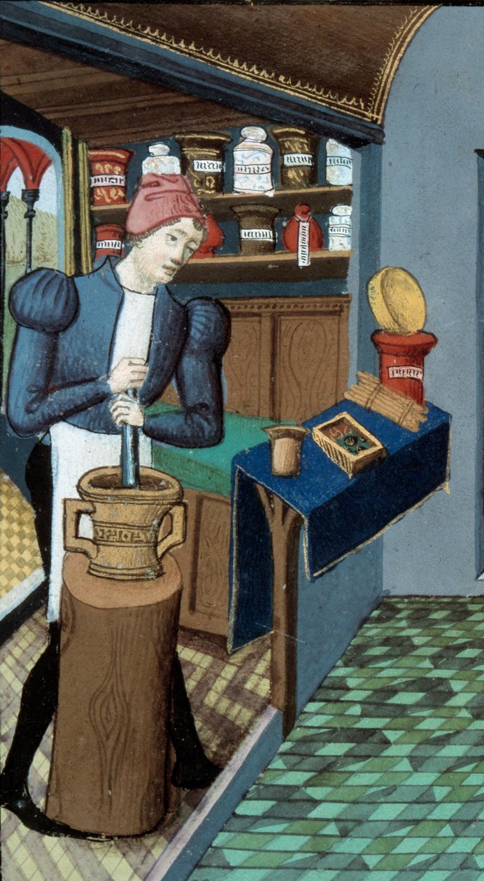 Pharmacy: An apothecary, the picking of plants and the preparation of medicaments (detail) by Unknown artist
