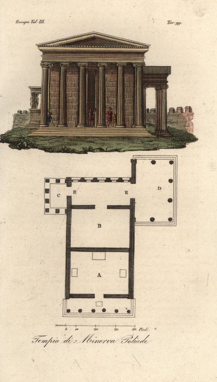 Plan and Elevation of the Erechtheion or Erechtheum, Temple of Neptune, Temple of Minerva Polias with Porch of the Caryatids, and Temple of Pandrosus or Pandrosion by Unknown artist
