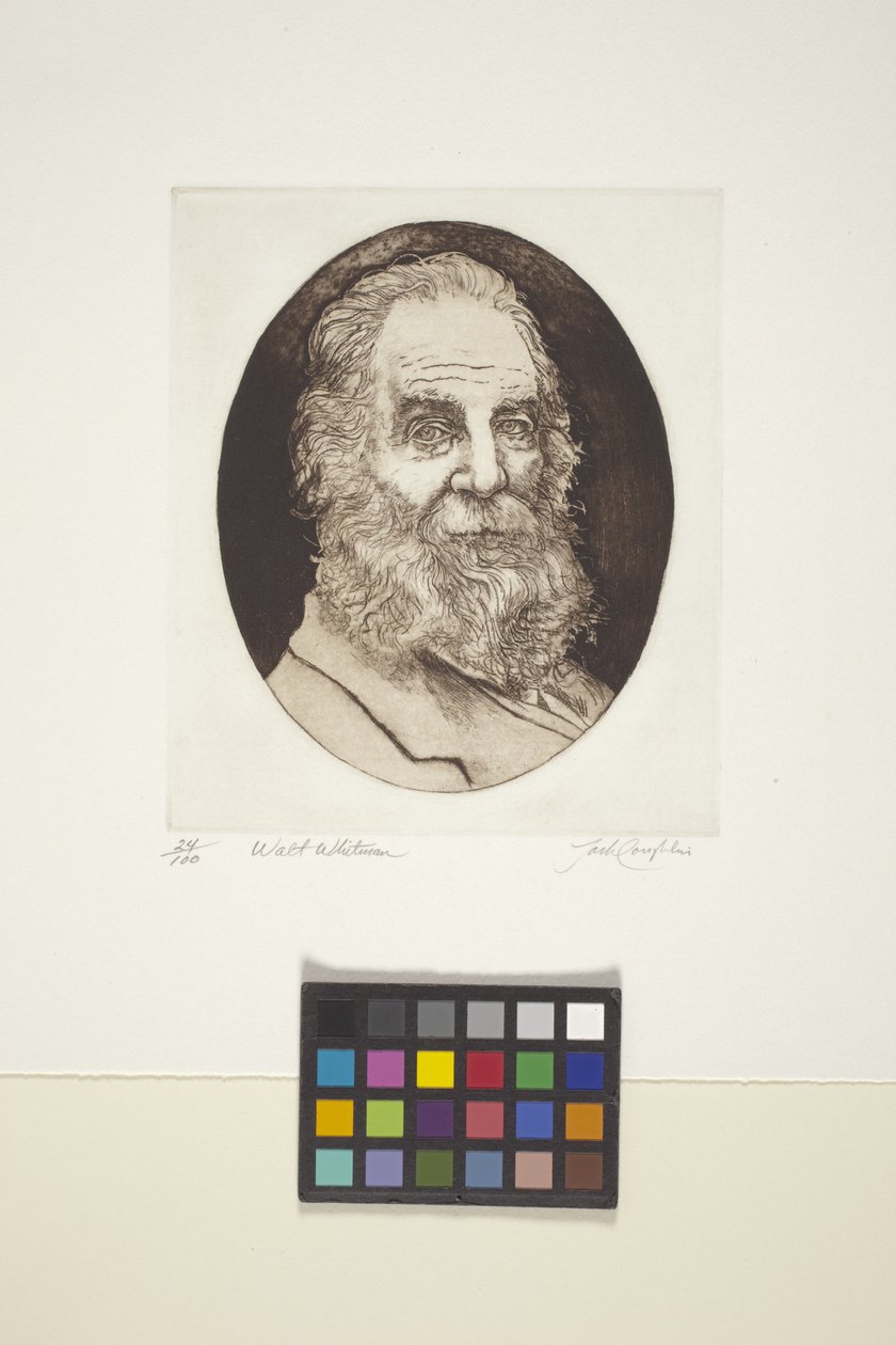 Portrait of Walt Whitman by Unknown artist