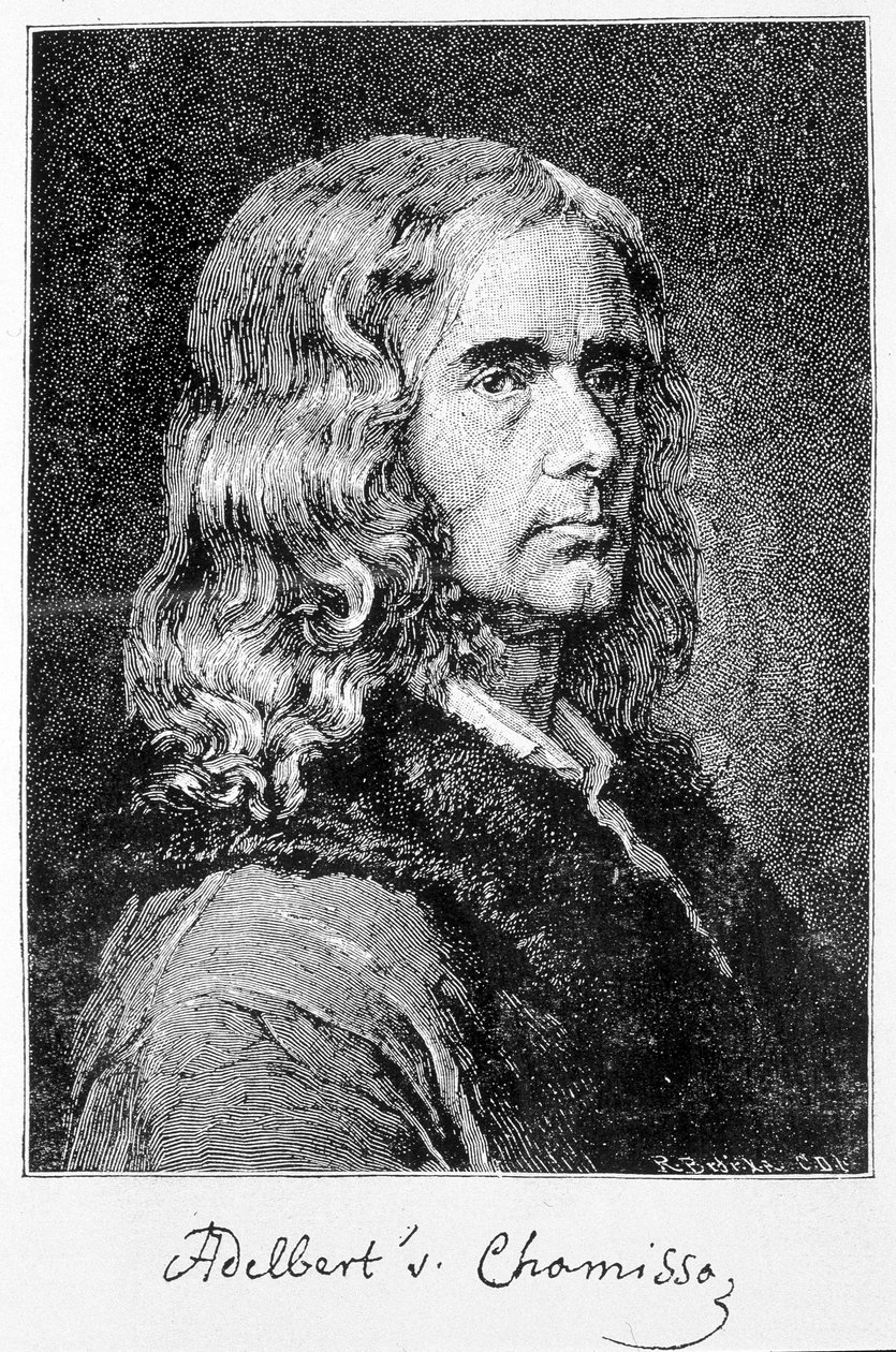 Portrait of Aldebert Von Chamisso de Boncourt, German writer and scholar of French origin by Unknown artist
