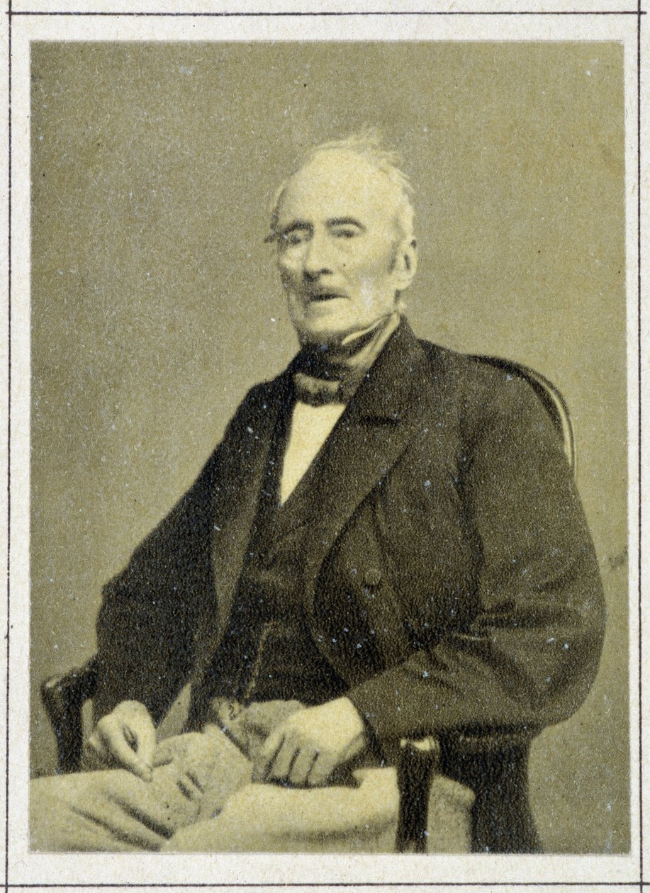 Portrait of Alphonse de Lamartine (1790 - 1869) in 1867 by Unknown artist