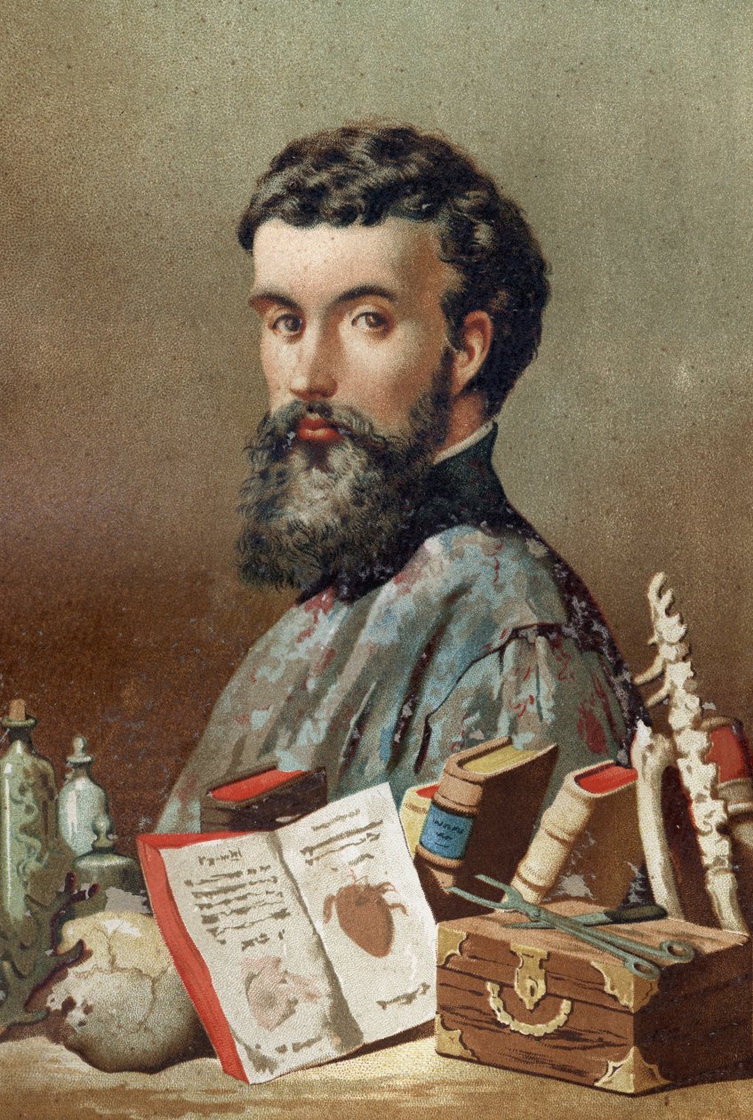 Portrait of André Vésale (1514-1564), Dutch anatomist from 