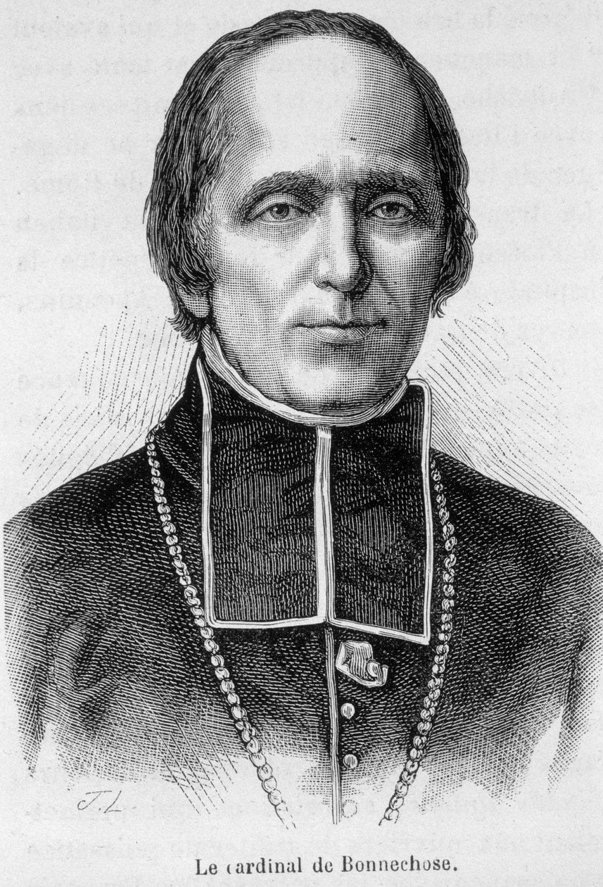 Portrait of Cardinal de Bonnechose by Unknown artist