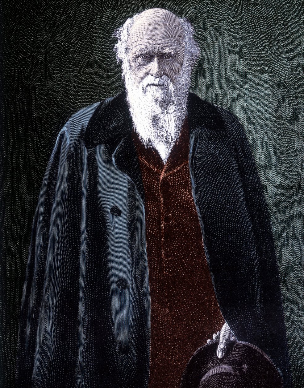 Portrait of Charles Darwin by Unknown artist