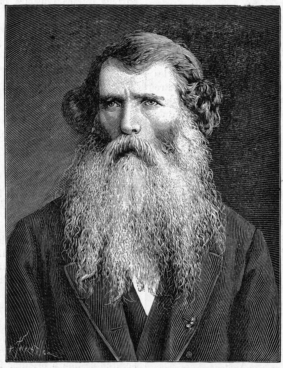 Portrait of Charles Victor Naudin, French botanist. (1815-1899). Engraving of 1898. in 