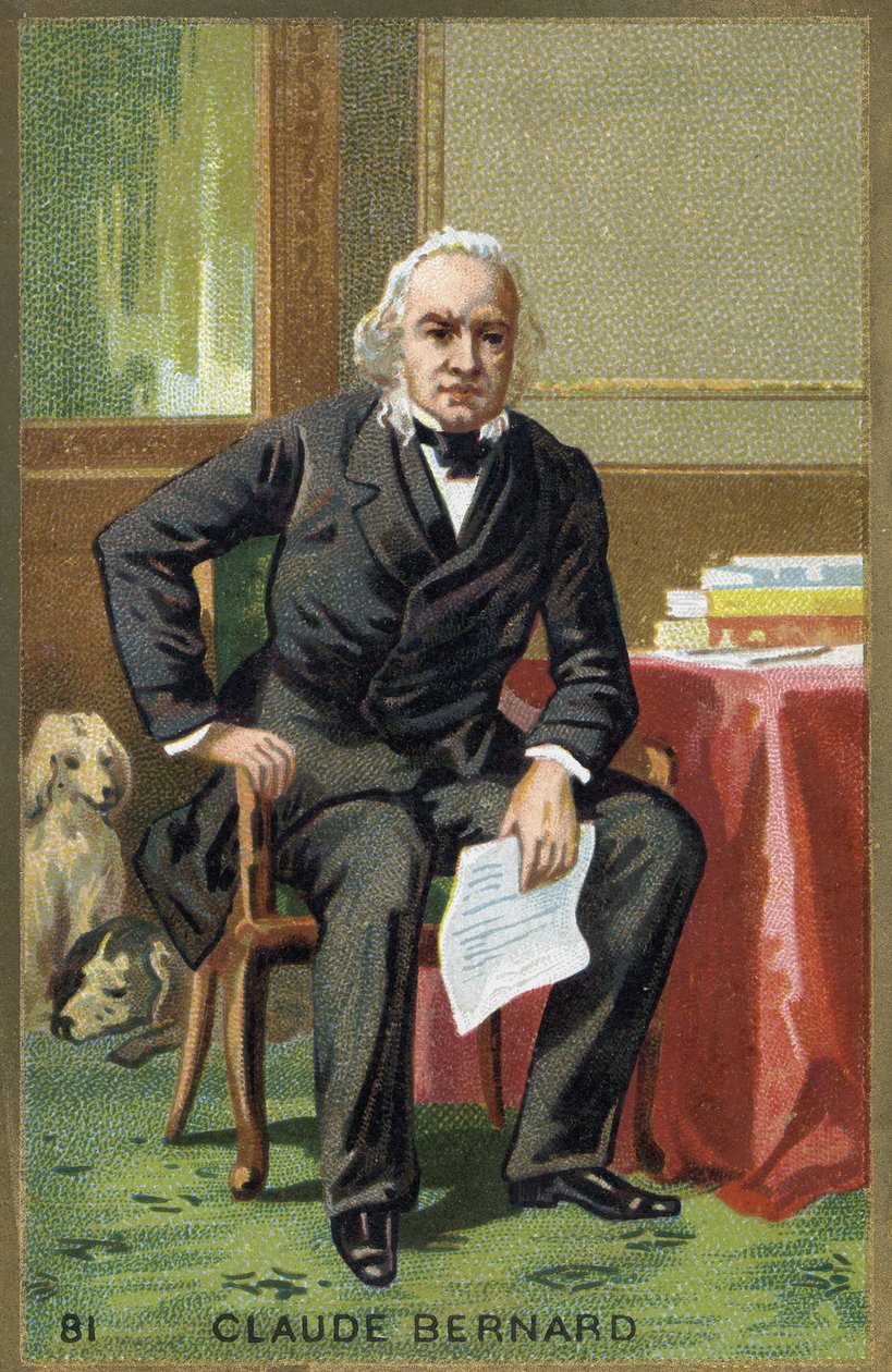 Portrait of Claude Bernard (1813-1878), French physiologist by Unknown artist