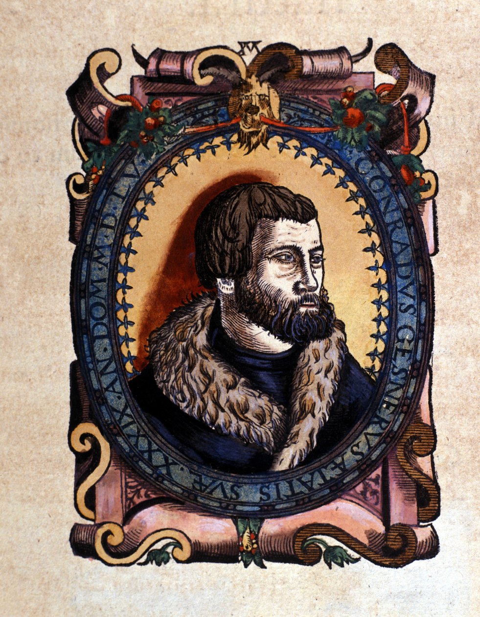 Portrait of Conrad Gesner, Zurich doctor after the Historia Animalium by Conrad Gesner, Tiguri 1560. Biblioteca nazionale Braidense. Milan by Unknown artist