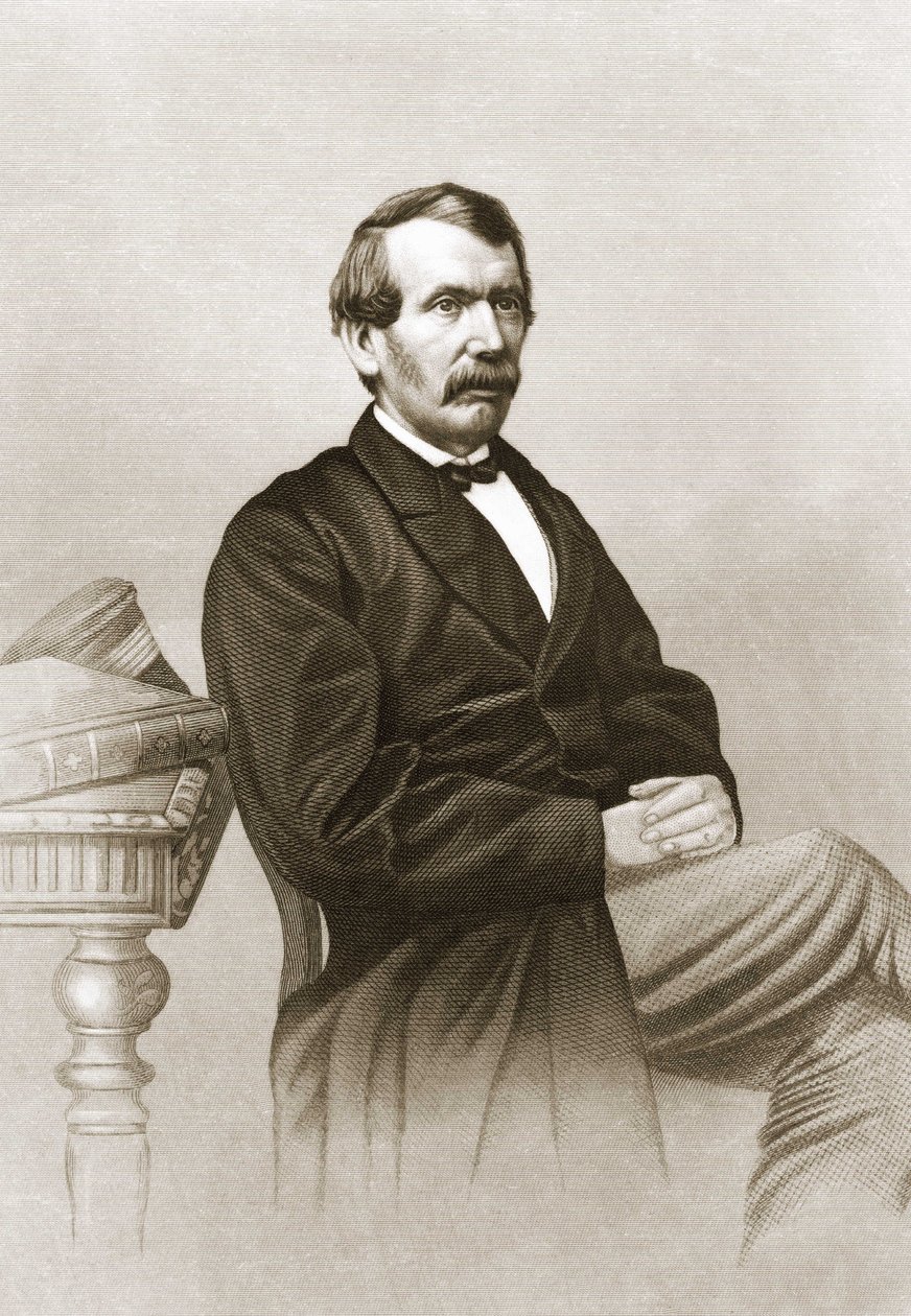 Portrait of David Livingstone by Unknown artist