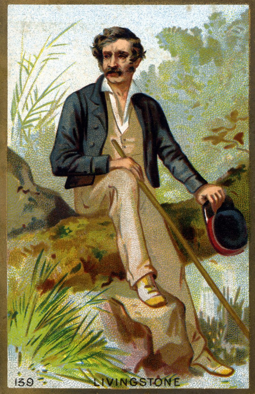 Portrait of David Livingstone by Unknown artist