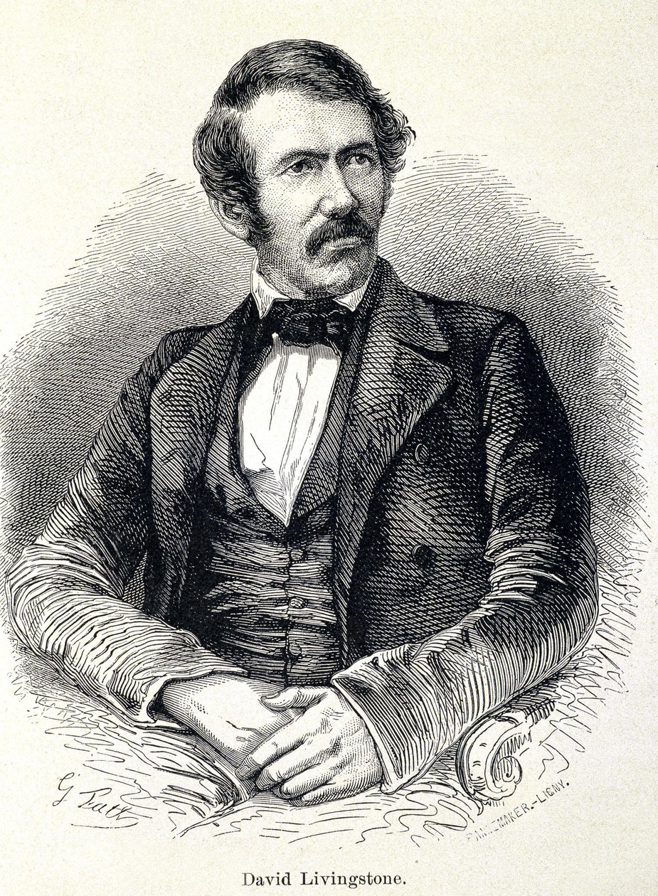 Portrait of David Livingstone by Unknown artist