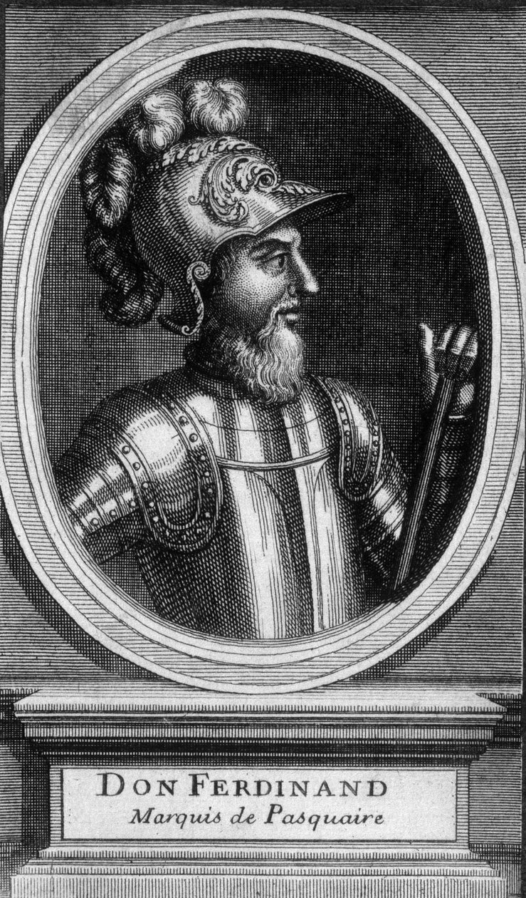 Portrait of Don Ferdinand, Marquis de Pasquaire by Unknown artist