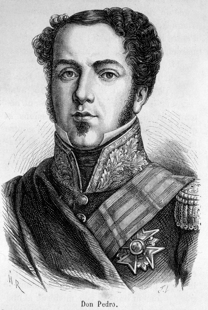 Portrait of Don Pedro by Unknown artist