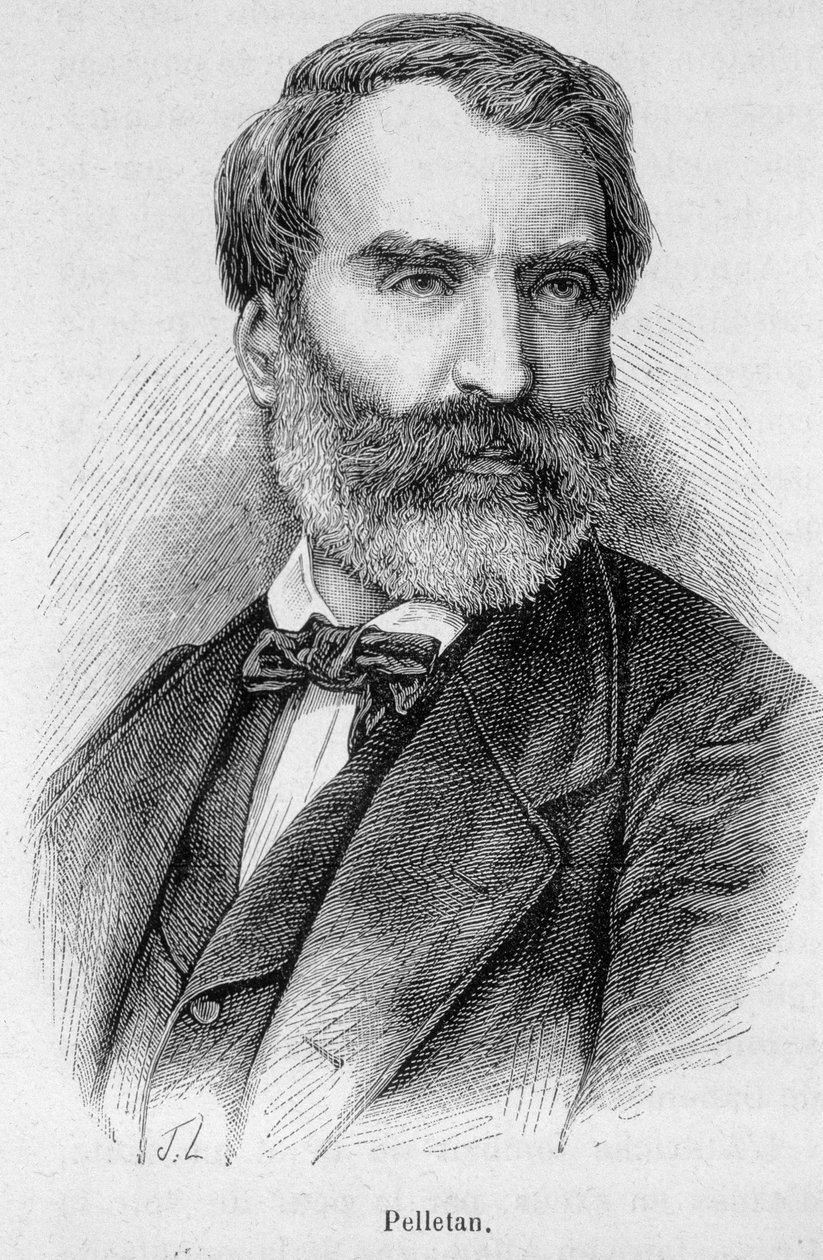 Portrait of Eugene Pelletan (1813-1884), French journalist, writer and politician by Unknown artist