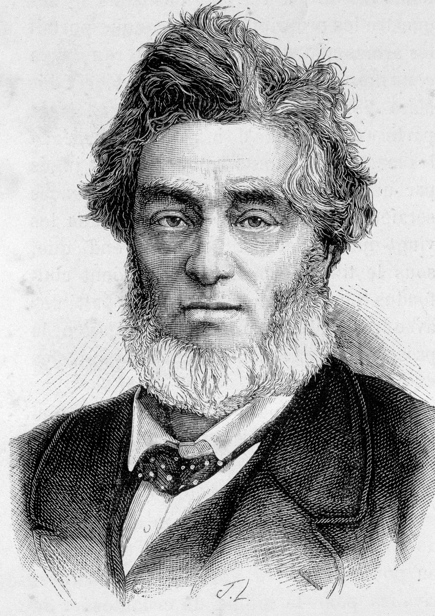 Portrait of Jules Favre by Unknown artist