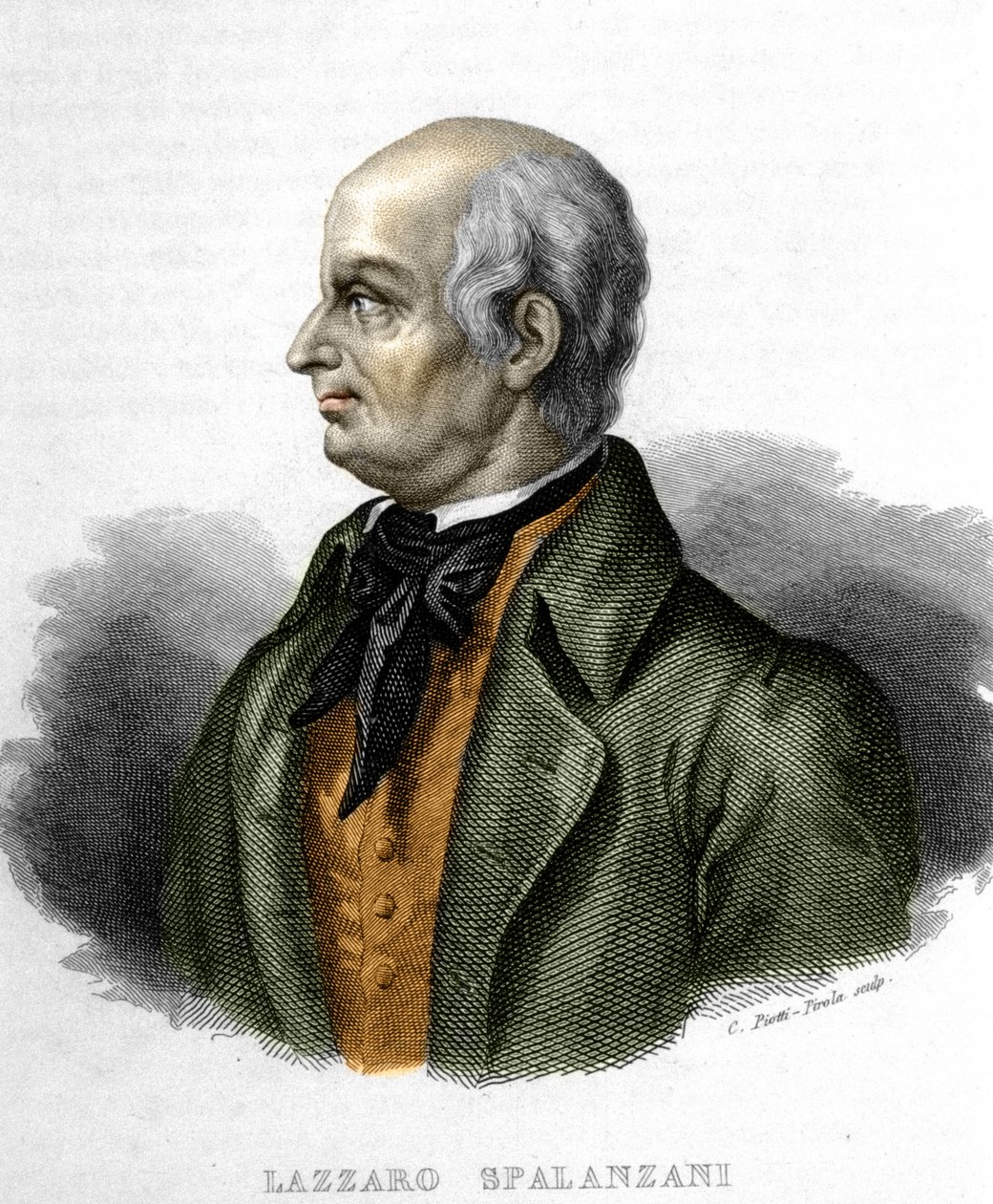 Portrait of Lazzaro Spallanzani, Italian Biologist (1729 - 1799) by Unknown artist