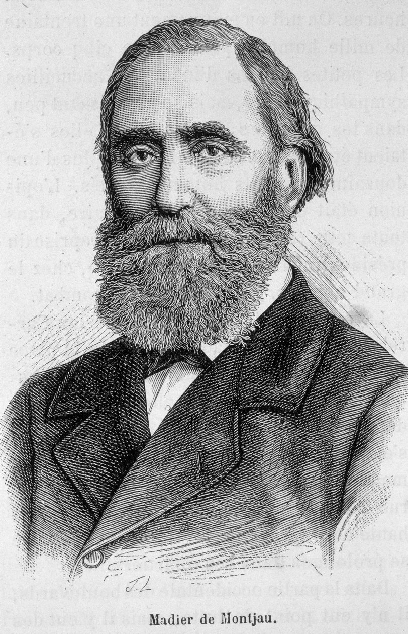 Portrait of Madier de Montjau, French Parliamentarian of the 19th Century by Unknown artist