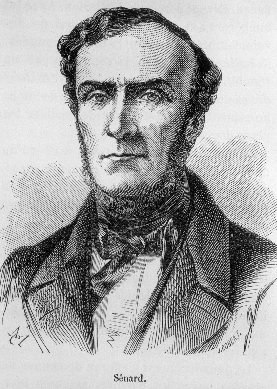 Portrait of Marie Antoine Jules Senard, member of the Paris Bar, former President of the National Assembly and former Minister of the Interior. He defended Gustave Flaubert during the trial after Madame Bovary