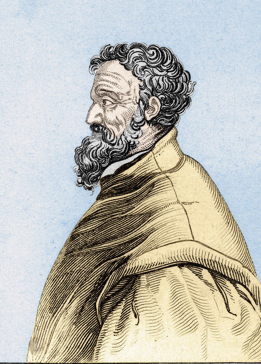Portrait of Michelangelo Buonarroti dit Michelangelo by Unknown artist