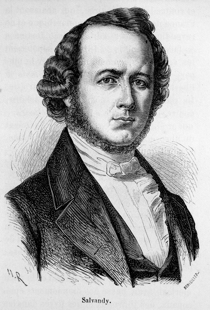 Portrait of Narcissus Achilles, Earl of Salvandy, French politician (1795 - 1856) by Unknown artist