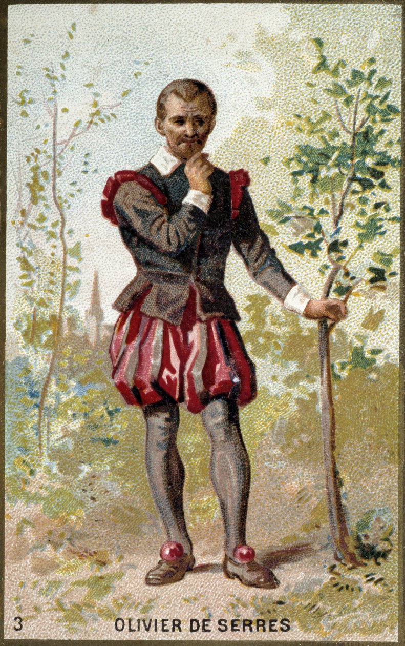 Portrait of Olivier de Serres (1539 - 1619), French Agronomist by Unknown artist