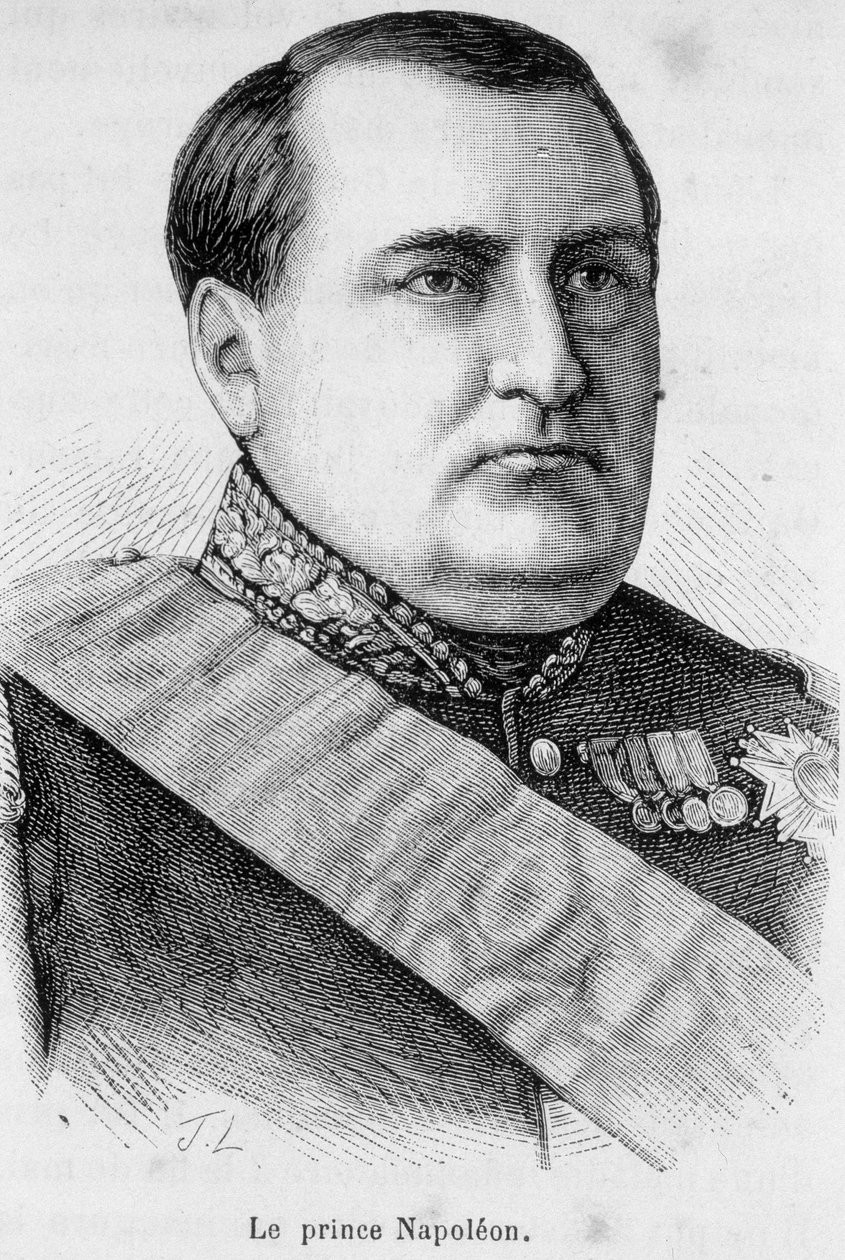 Portrait of Prince Napoleon by Unknown artist