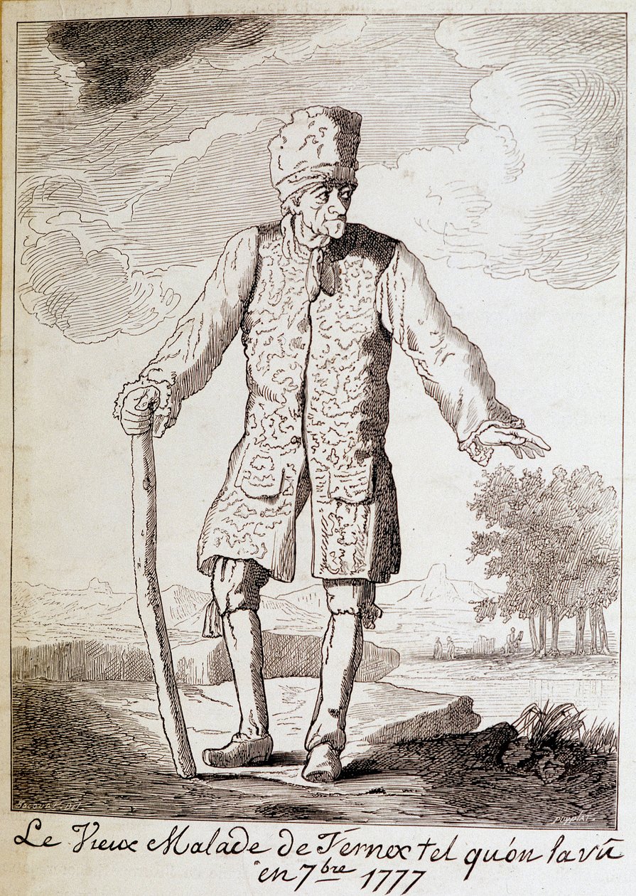 Portrait of Voltaire (1694-1778), French writer and philosopher, elderly by Unknown artist