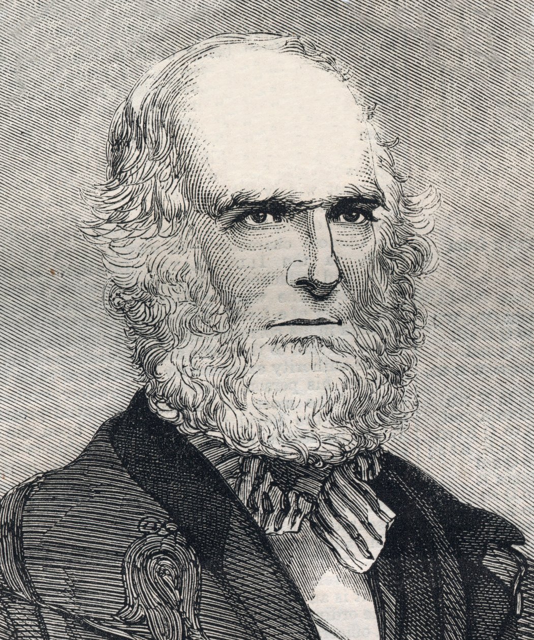 Portrait of William Cullen Bryant, American poet. Engraving in 