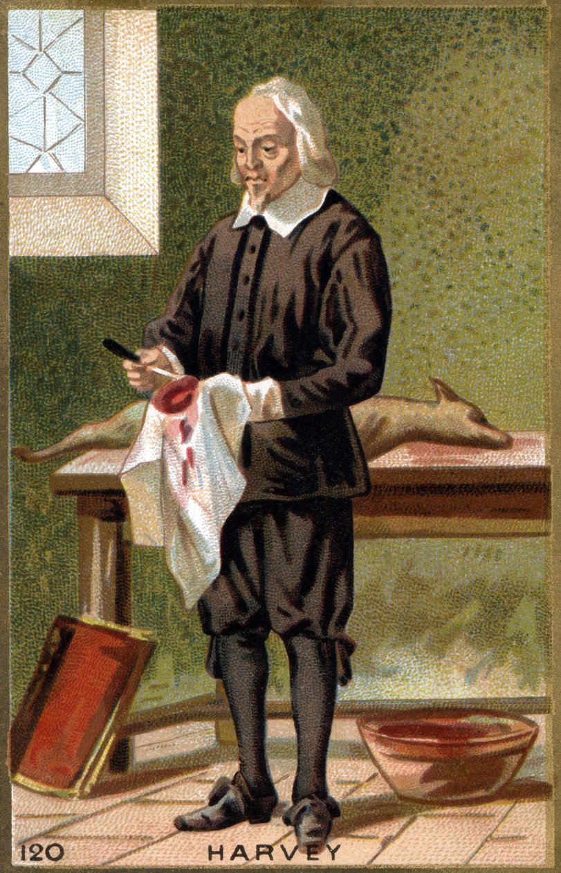 Portrait of William Harvey, English physician by Unknown artist