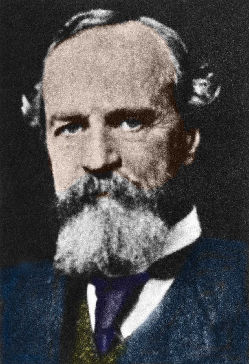 Portrait of William James, American pragmatist philosopher by Unknown artist