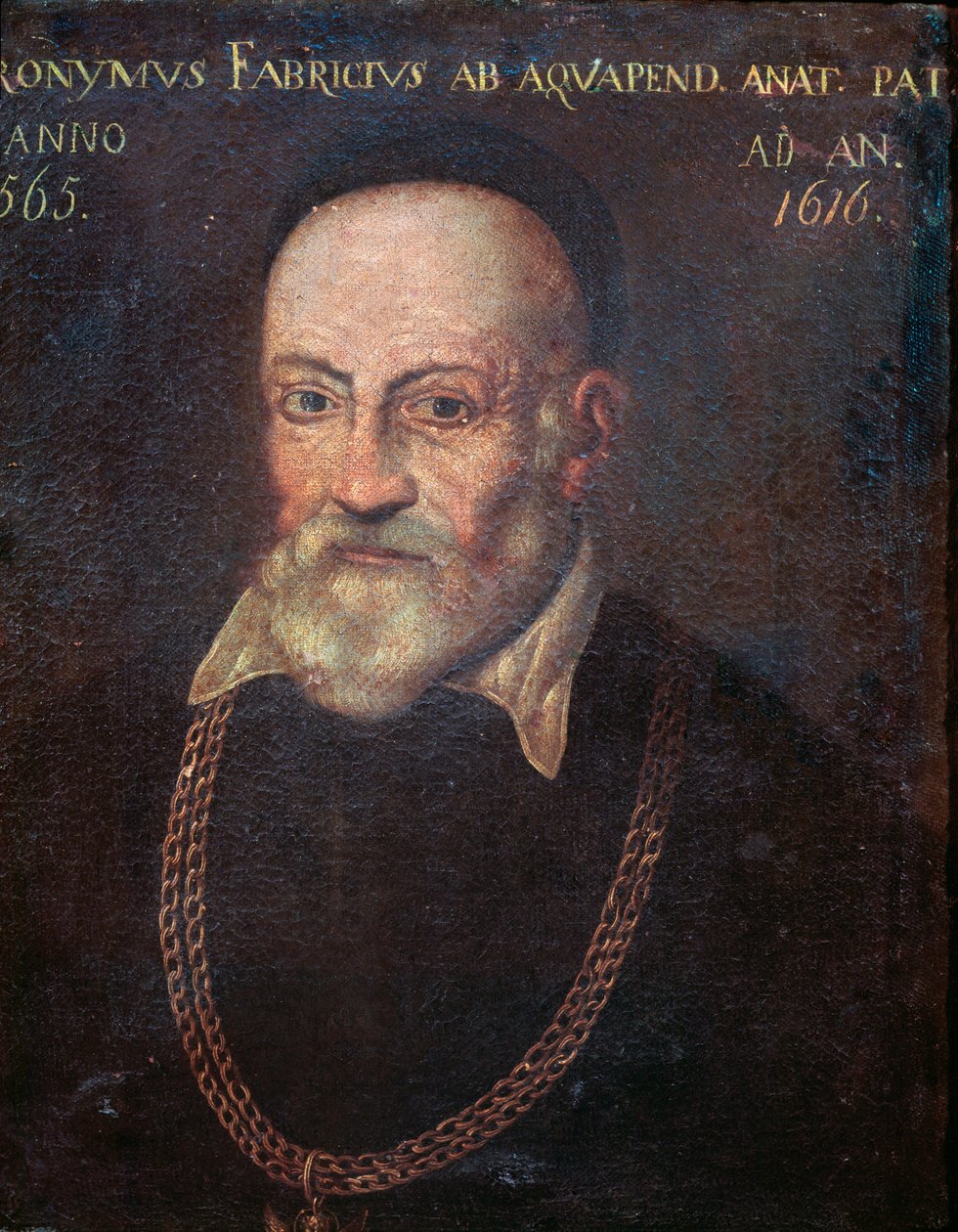 Portrait of Hieronymus Fabricius by Unknown artist