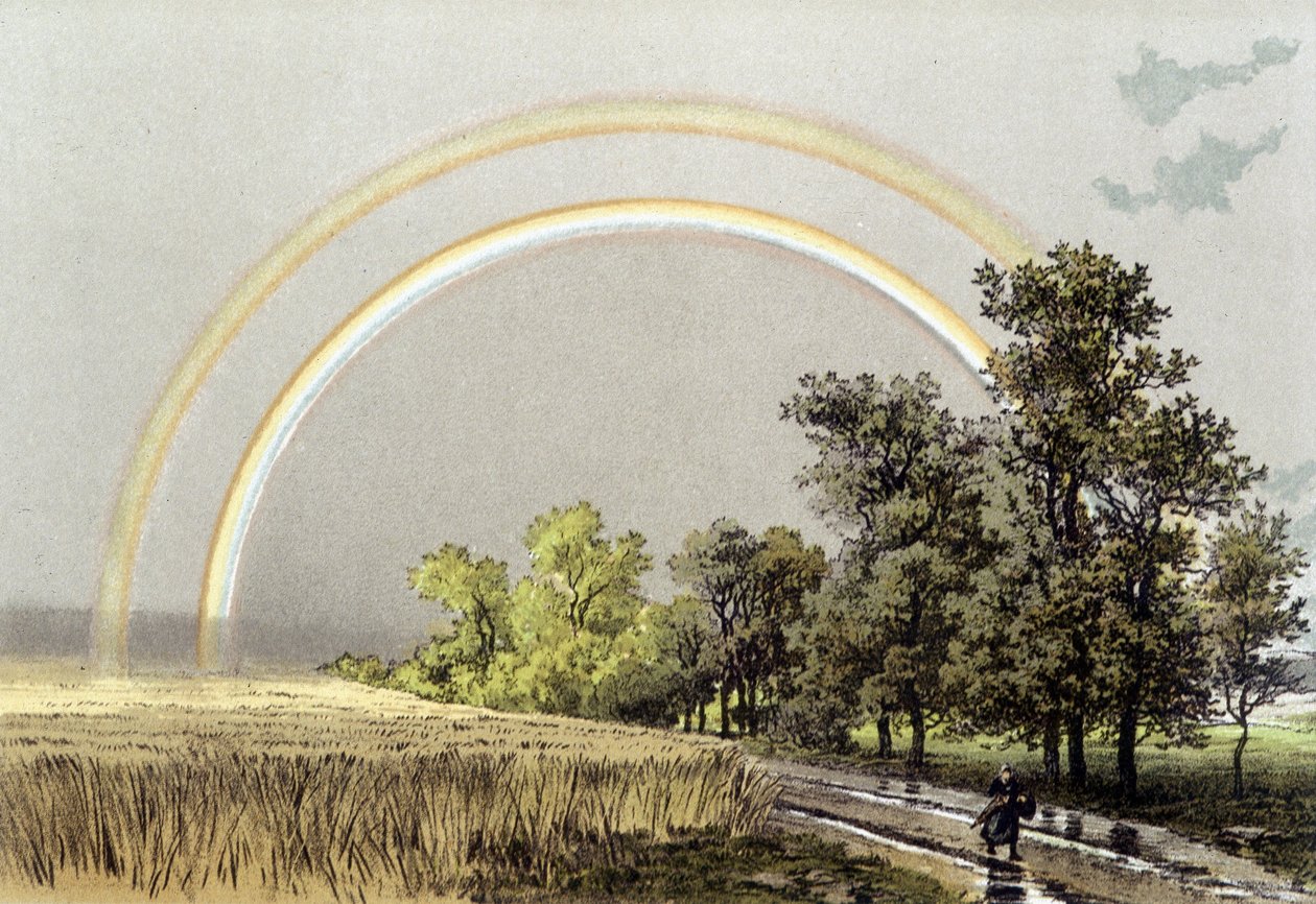 Rainbow - in 