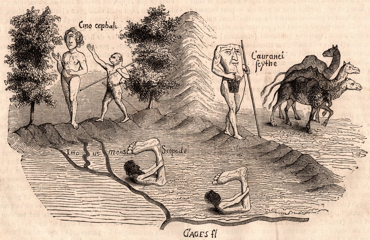 Representation of Medieval Tribes and Animal Species: Monocules, Blemmys, Sciopodes and Camels by Unknown artist