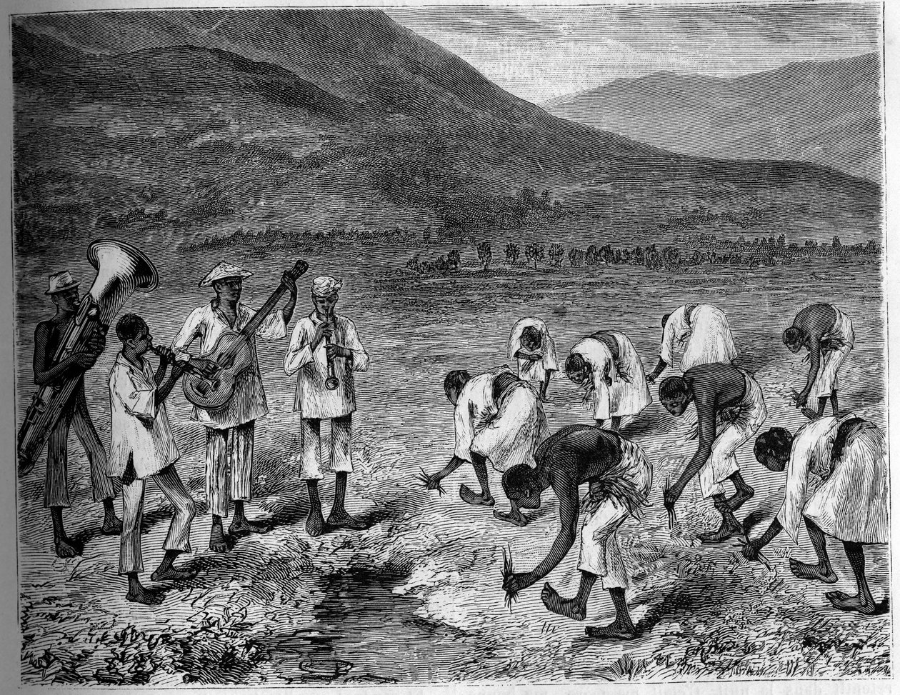 Rice planting in the Philippines. Engraving in The Youth Journal by Unknown artist