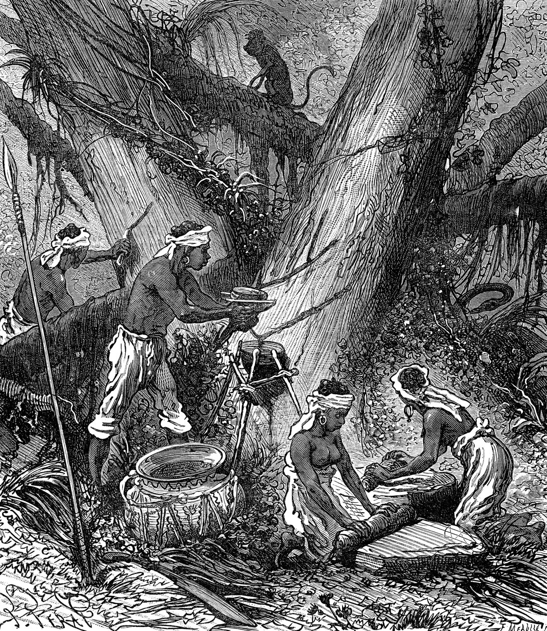 Rubber Harvesting in Malaysia Forest (engraving) by Unknown Artist