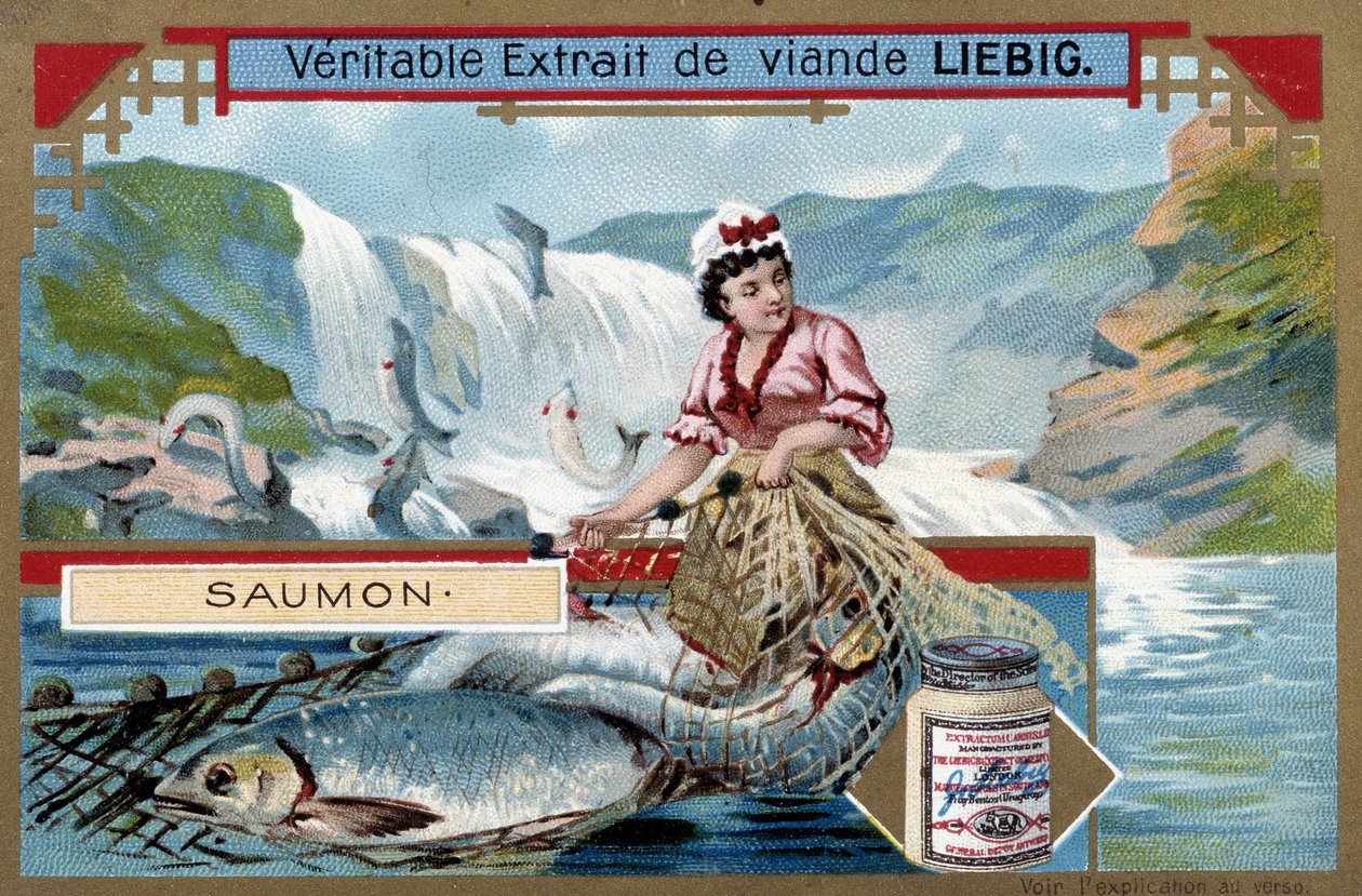 Salmon Fishing - Chromo of the 19th Century by Unknown artist