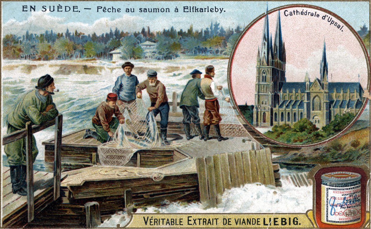 Salmon Fishing in Elfkarleby, Sweden. Chromolithography, Liebig Image by Unknown artist