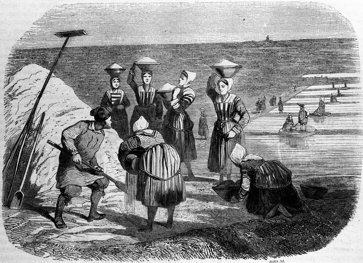 Salt production: women working in salt marshes. 19th century engraving by Unknown artist