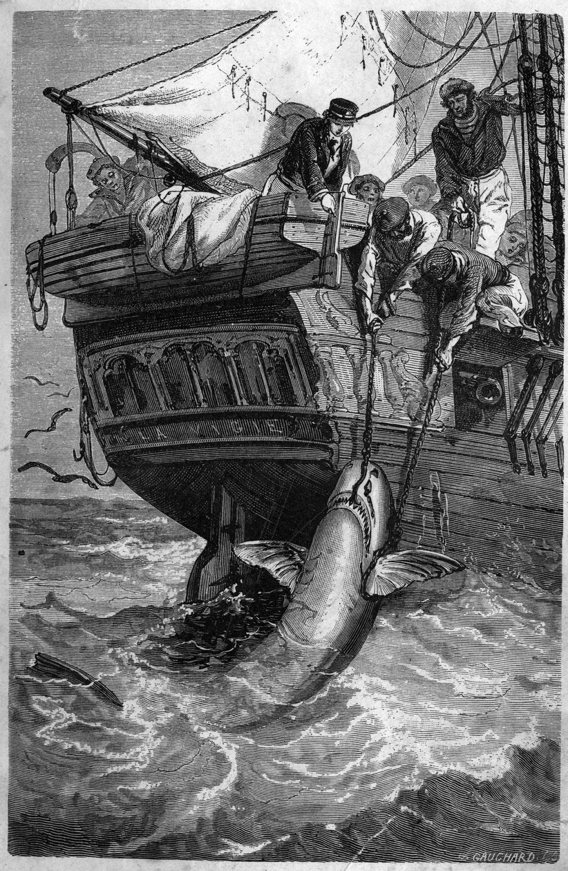 Shark fishing. 19th century engraving. Private collection. by Unknown artist