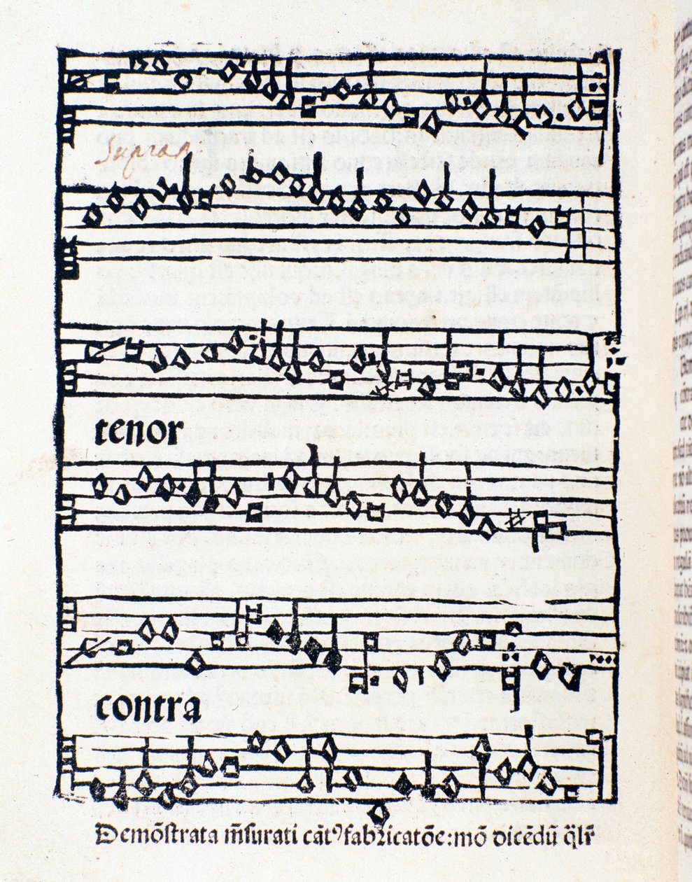 Sheet music page for Musicological studies and documents by Nicola Burzio by Unknown artist