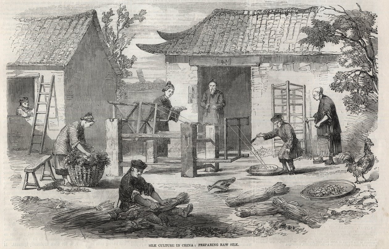 Silk production in China and the various stages of manufacturing. by Unknown artist