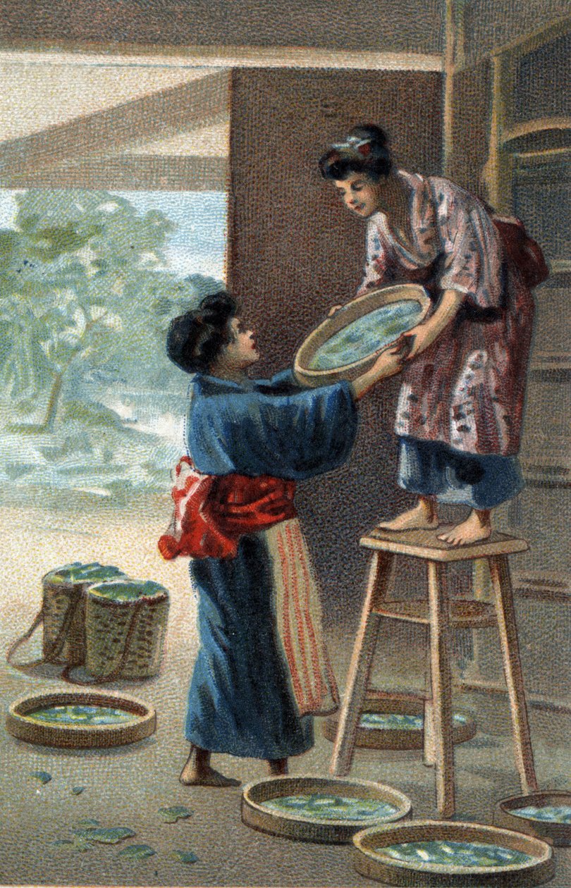 Silkworm breeding in a Japanese magnet. Chromolithography of the late 19th century by Unknown artist