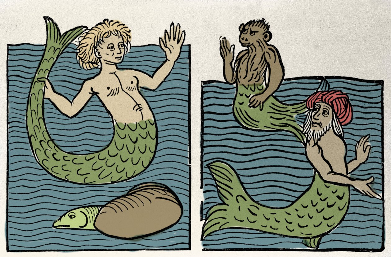 Siren or Virgin of the Sea, Monkey and Sea Turk by Unknown artist